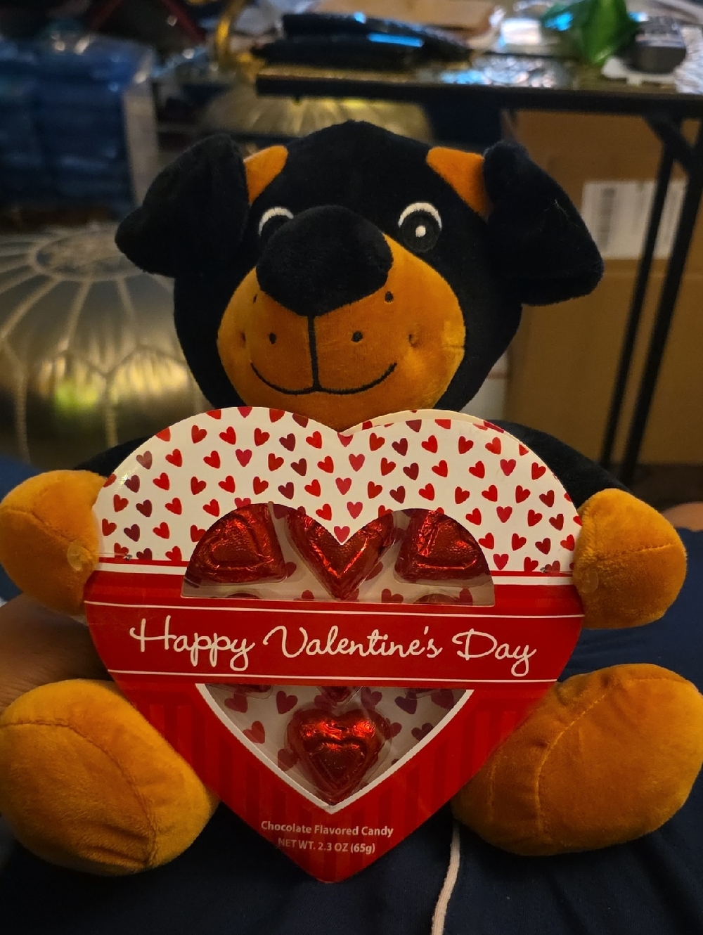 Plush Black and Orange Dog with Valentine's Heart Candy